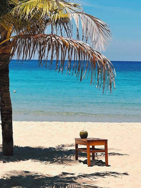 A coconut on a small wooden table under a palm, turquoise sea behind — shot on A GHX