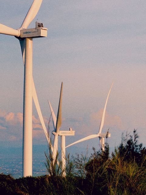 Three wind turbines rising above wild grass, the sea hazy in the distance — shot on ELEV DUSK